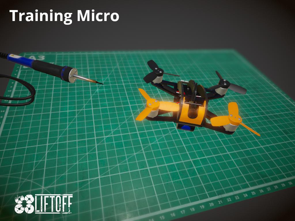 Training Micro
