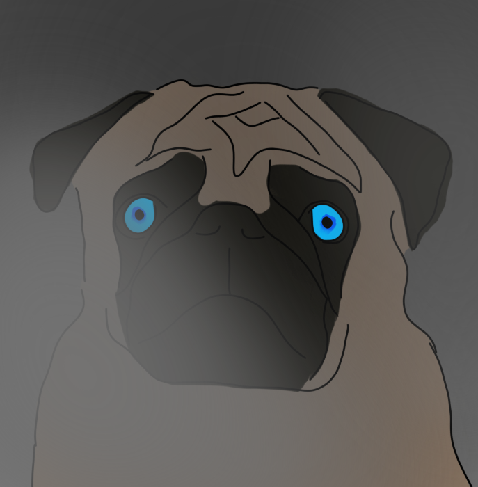 Loui the Dog