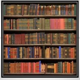 Book lover