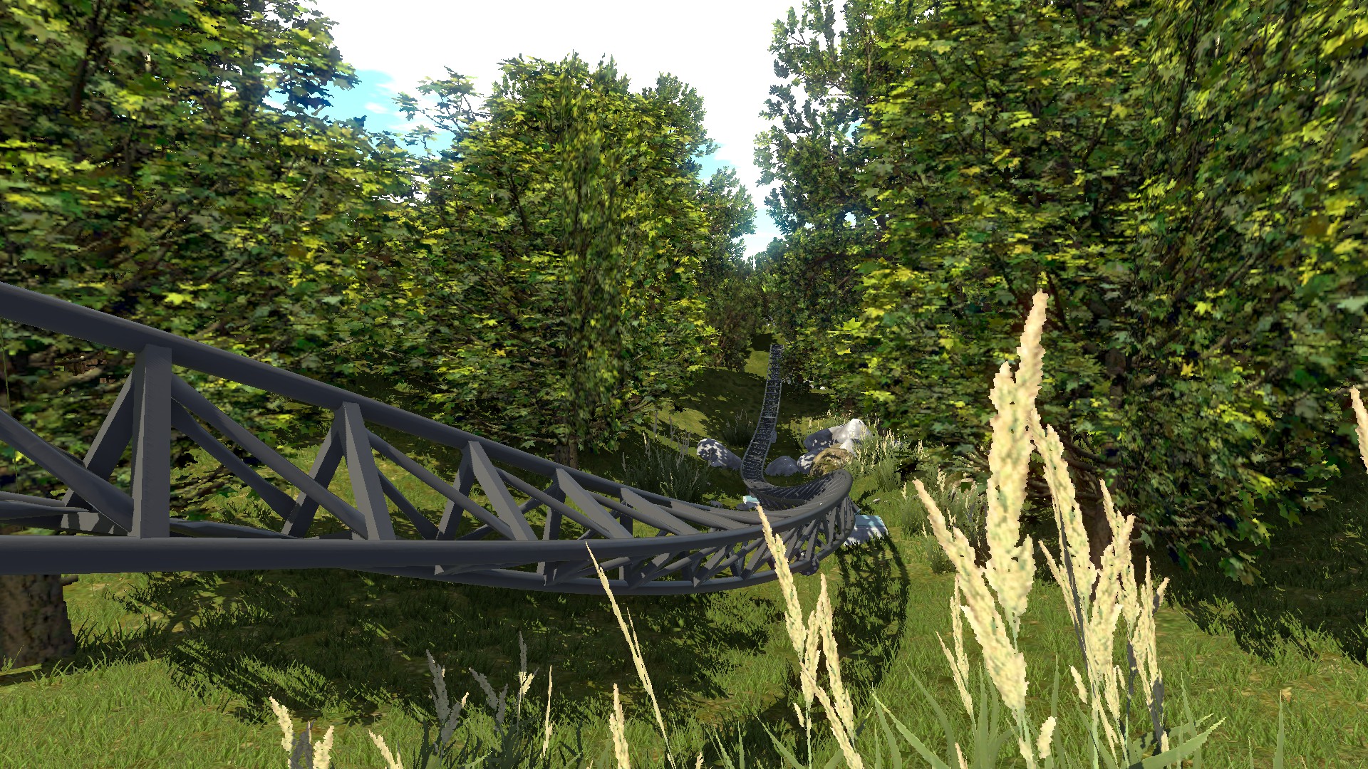 Park Image