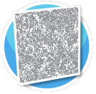 Gray Bloom