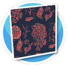 Dark Coral