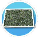 Dark green grass