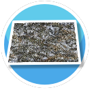Mossy Concrete