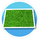 Green carpet