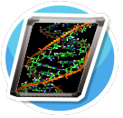 DNA 1