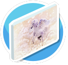 The Magic Pegasus