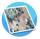 Not Grey Flowers Rug