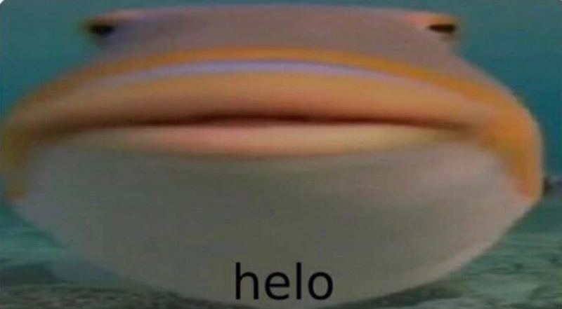 hubert the fish