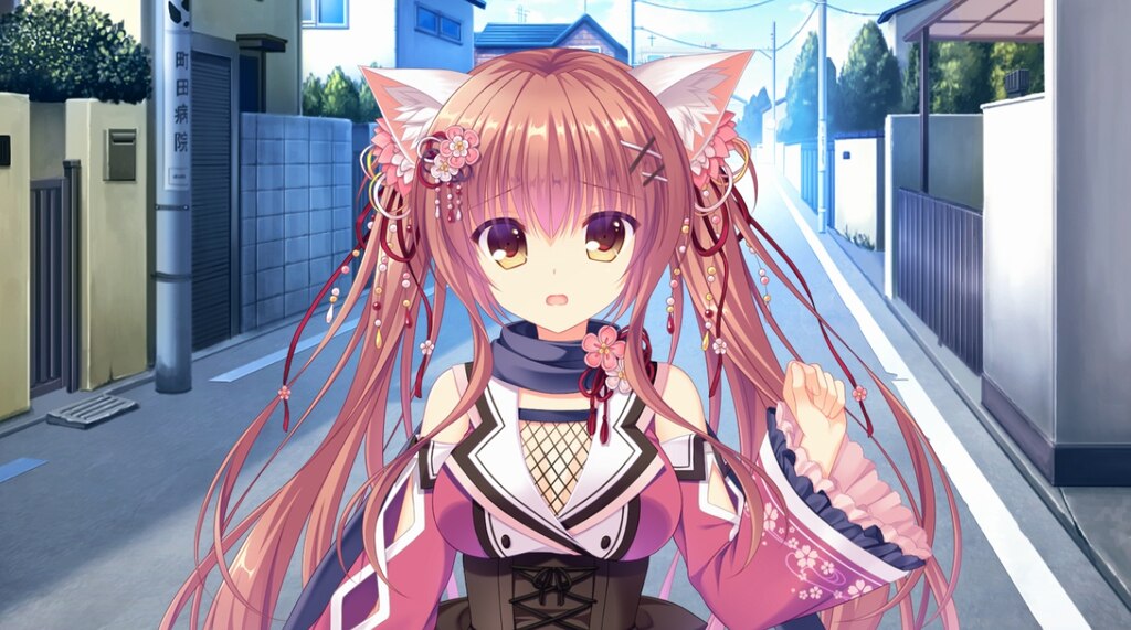 Steam Community :: NEKO-NIN exHeart
