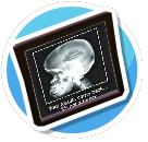 Poo Brain