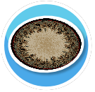 Pinecones