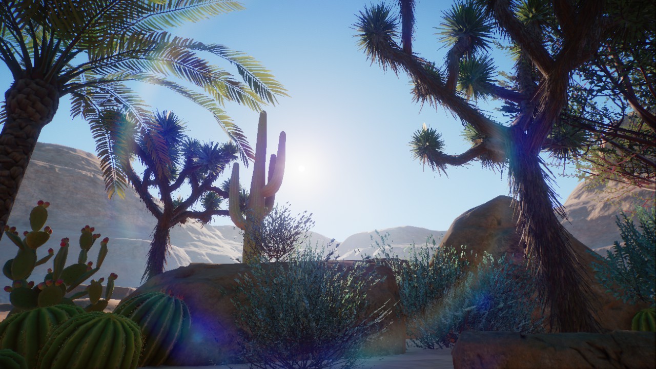 Desert Rock Scenery 2