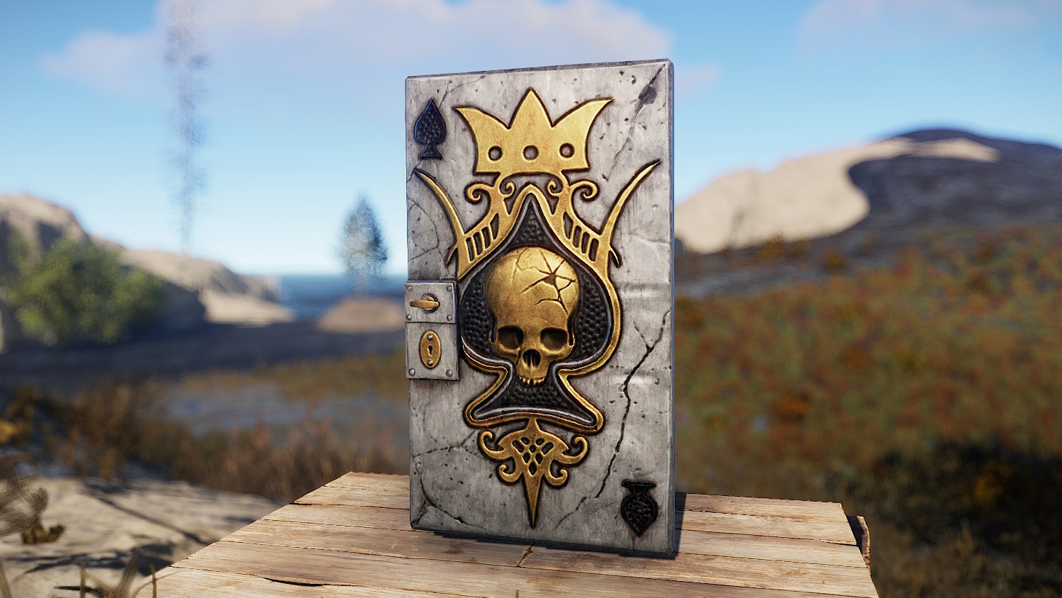 Ace Door