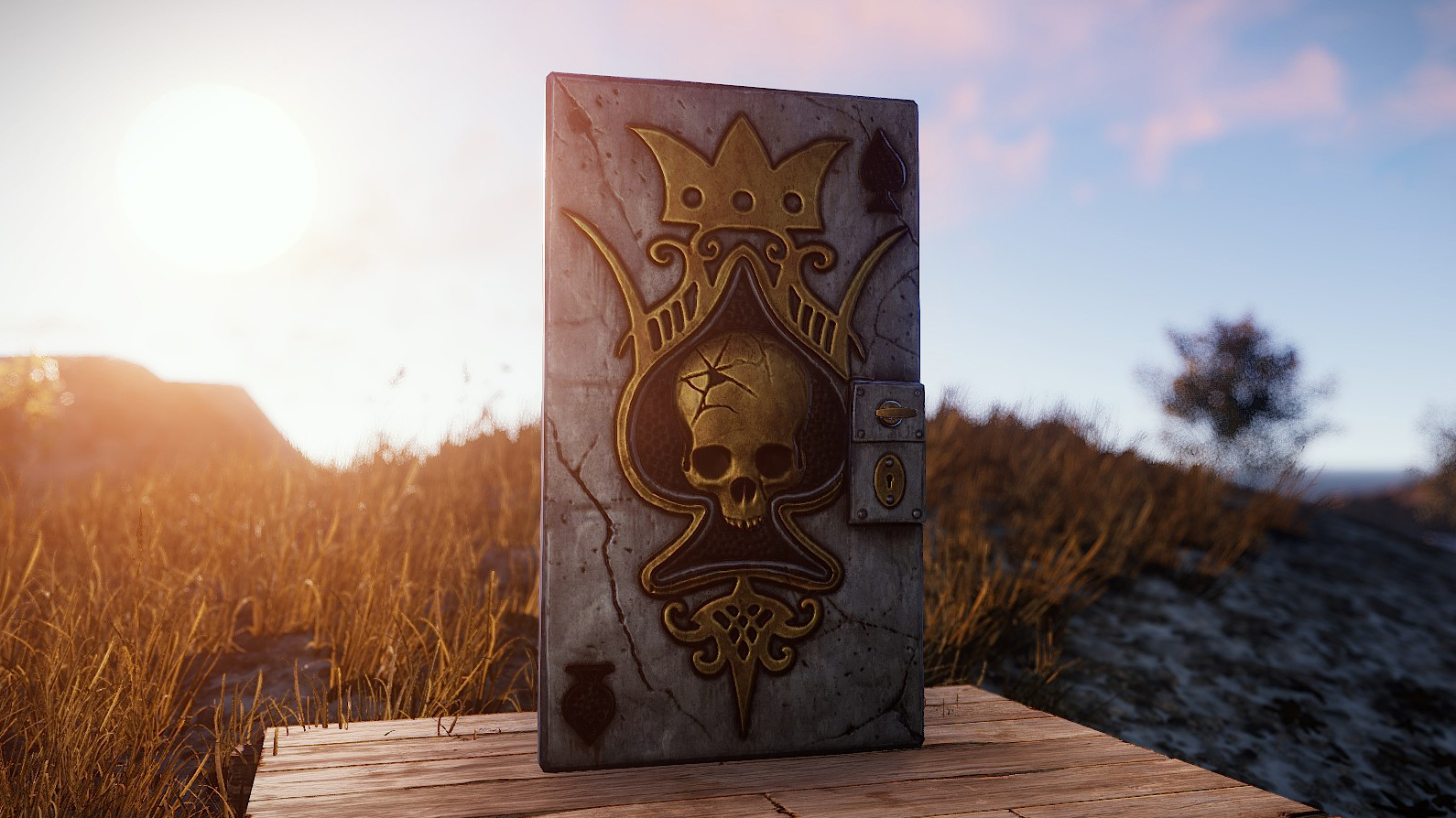 Ace Door