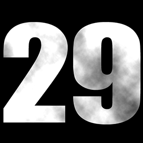 Number 29 Decal