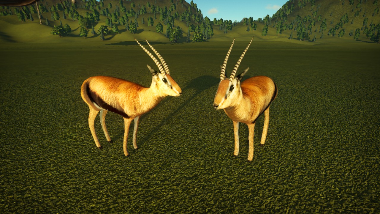 Gazelle Static