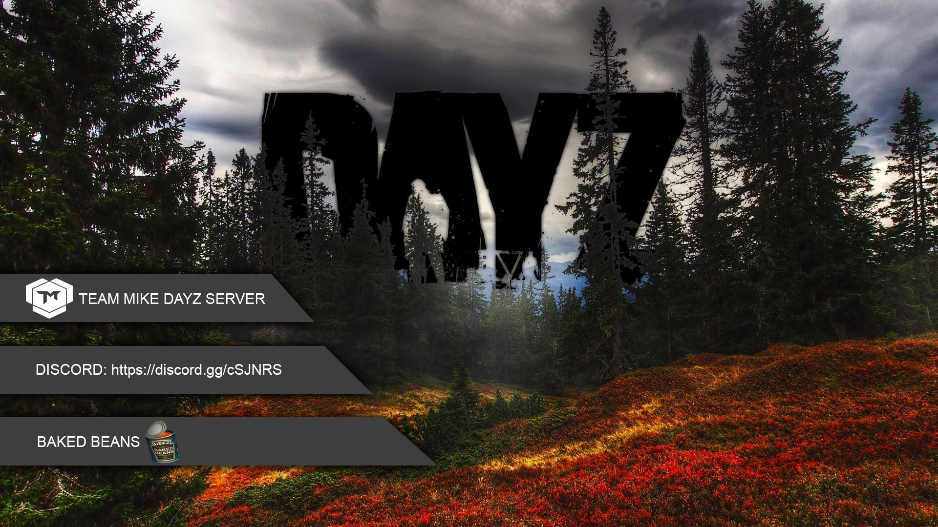 TM Serverpack