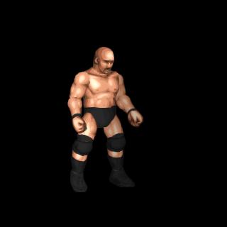 Steve Austin
