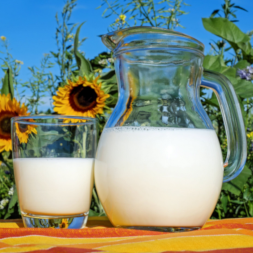 Lactose Intolerance