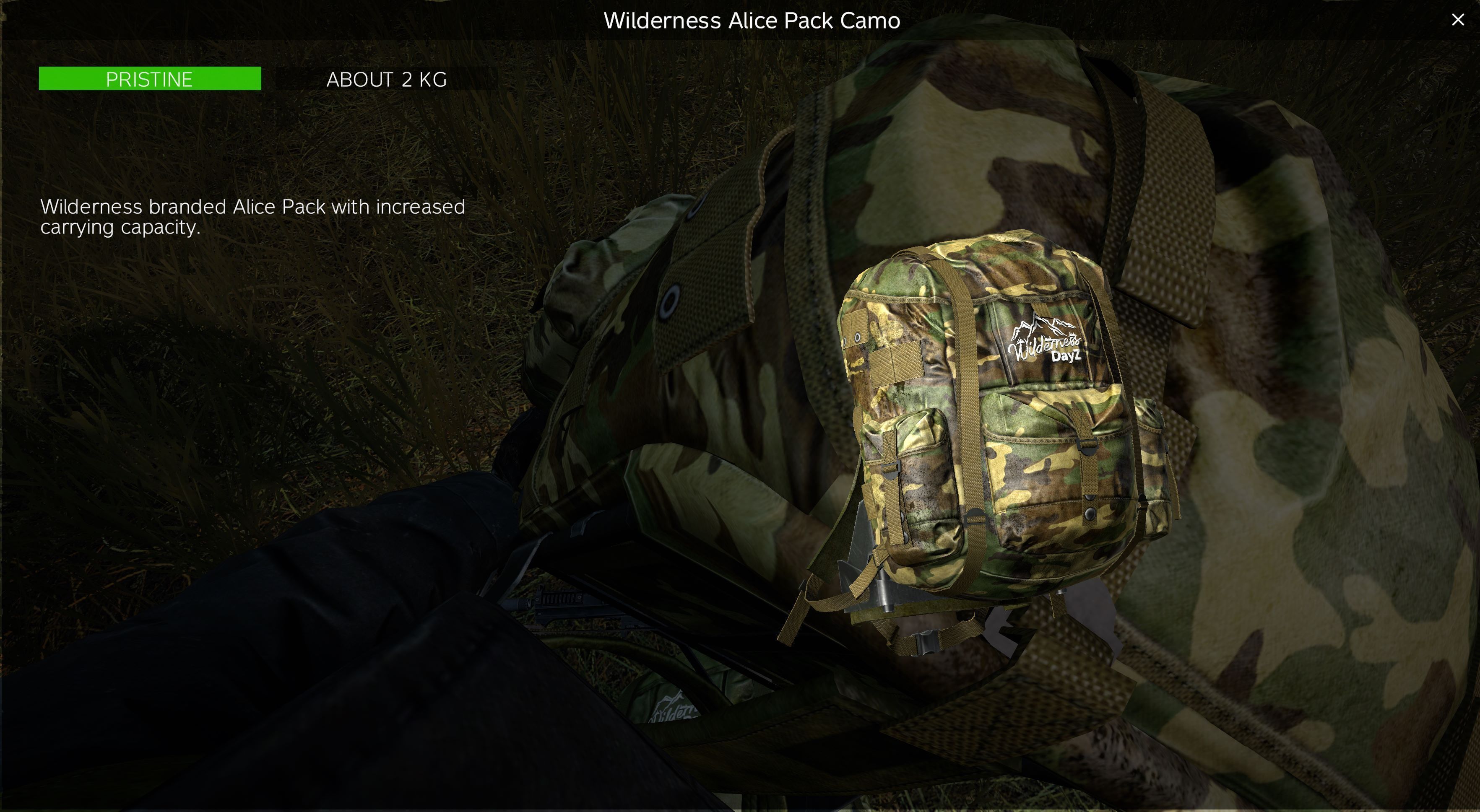 Wilderness Backpacks