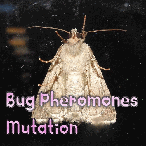 Bug Phermones Mutation