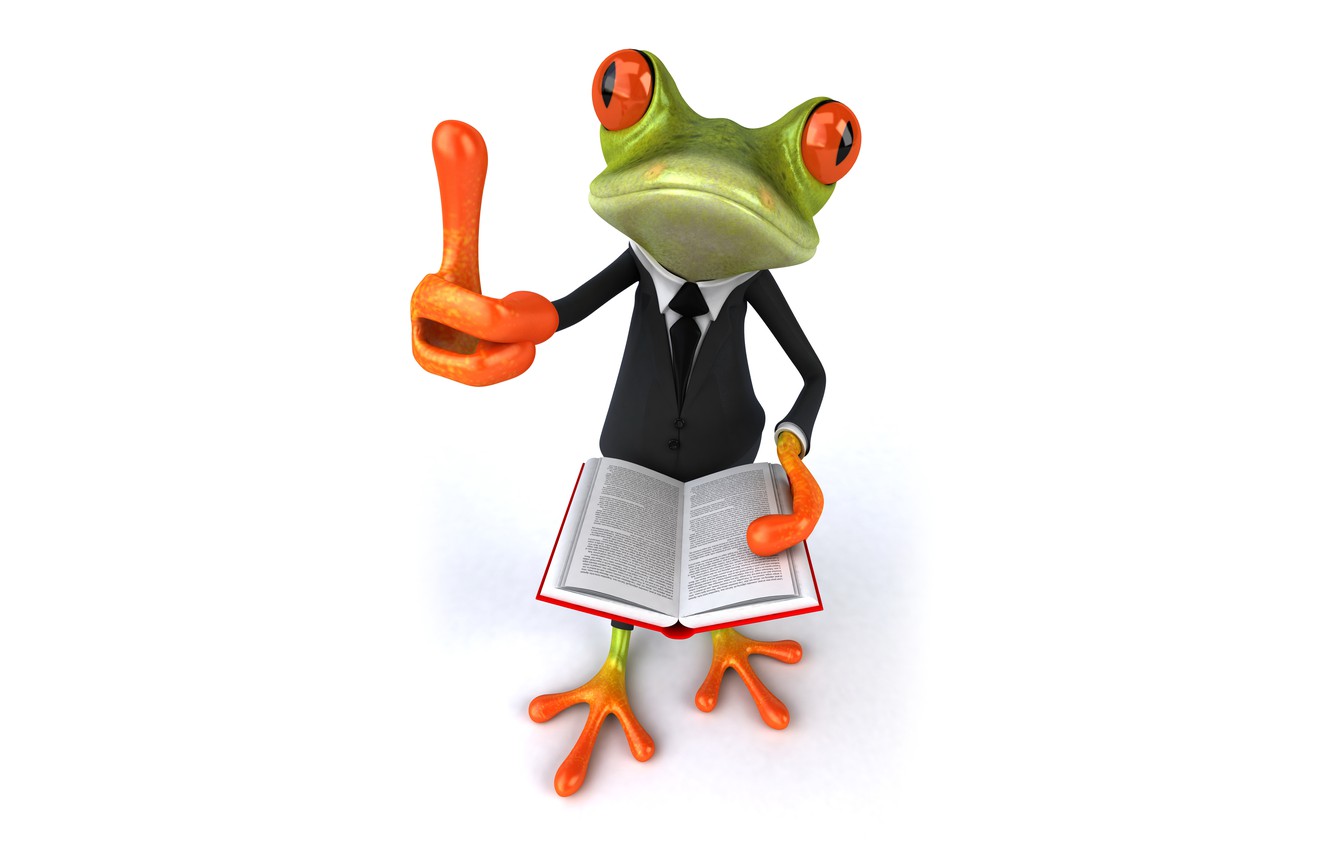 Frog 3