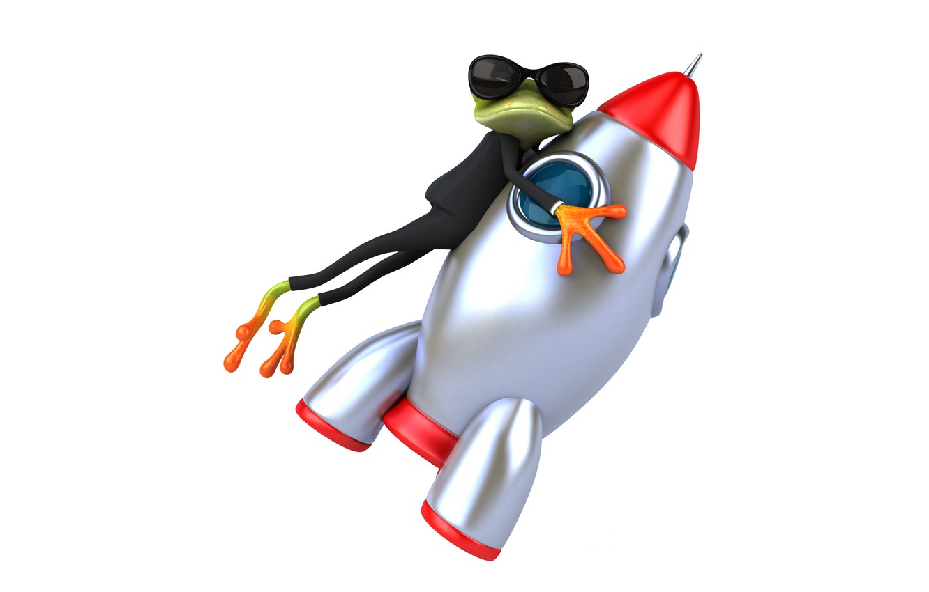 Frog 5