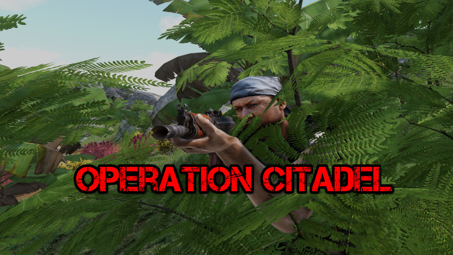 Operation Citadel preview