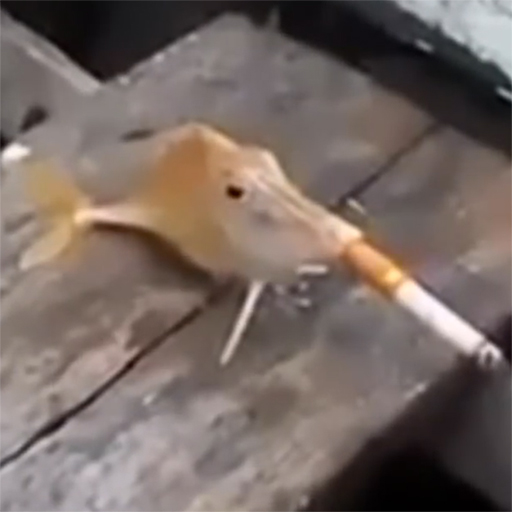 how much cigarette smoking is safe Cigarettes, Smokeless Tobacco, and Vapes: Key Facts for Quitting and  Staying Healthy
