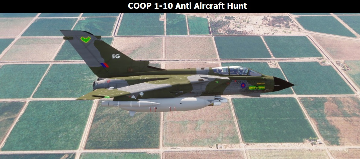 COOP 1 -10 Anti-Aircraft Tank Hunt Tornado preview