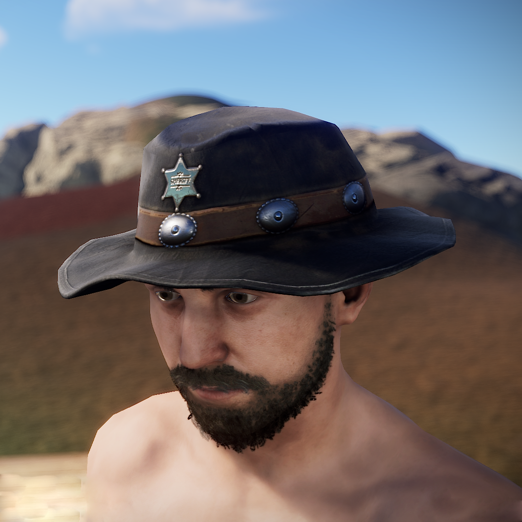 Cowboy Sheriff Hat