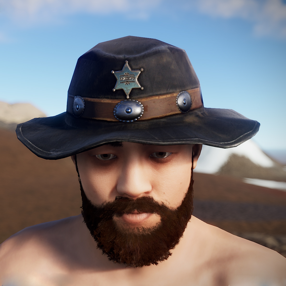 Cowboy Sheriff Hat
