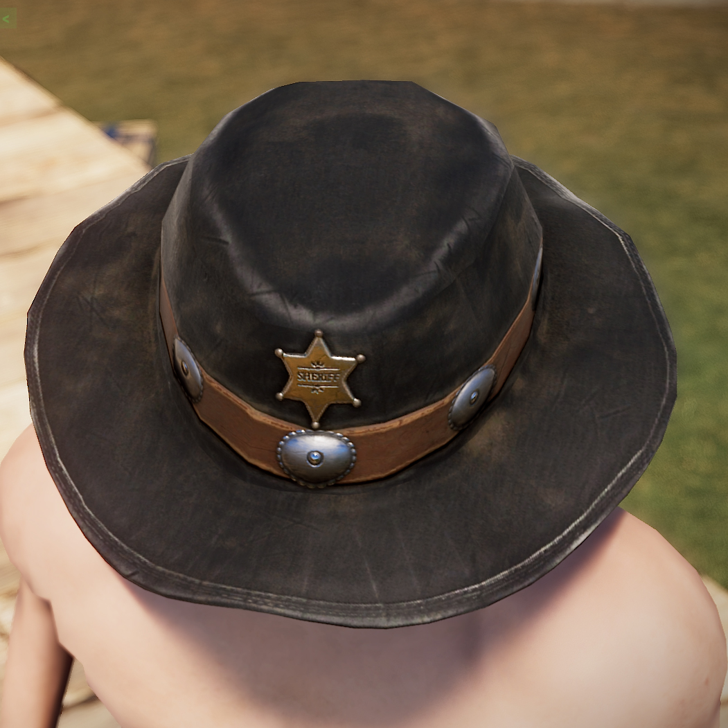 Cowboy Sheriff Hat