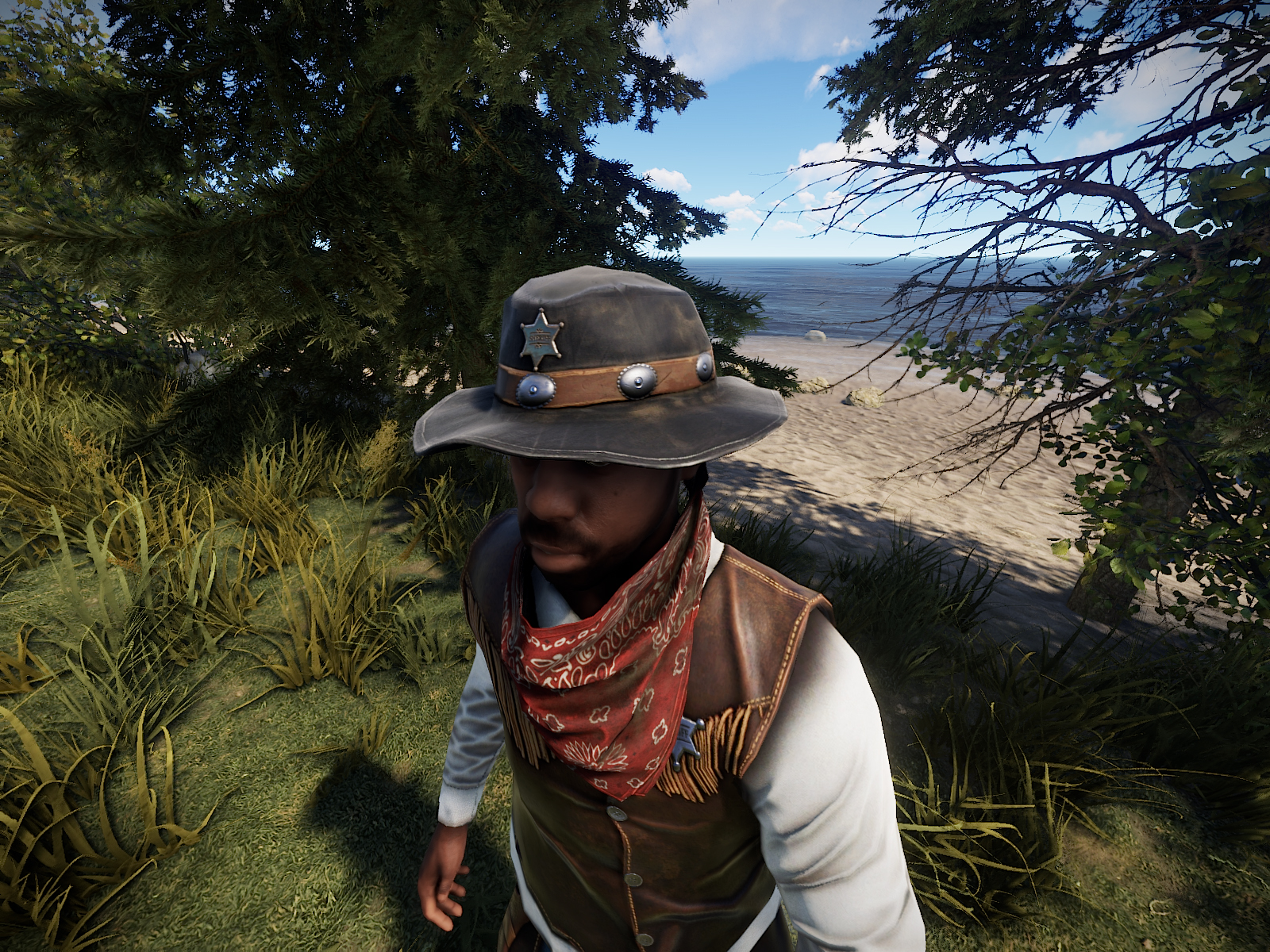 Cowboy Sheriff Hat