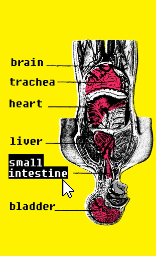 body inversion syndrome poster