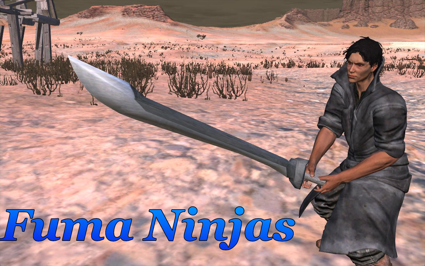 Fuma Ninjas