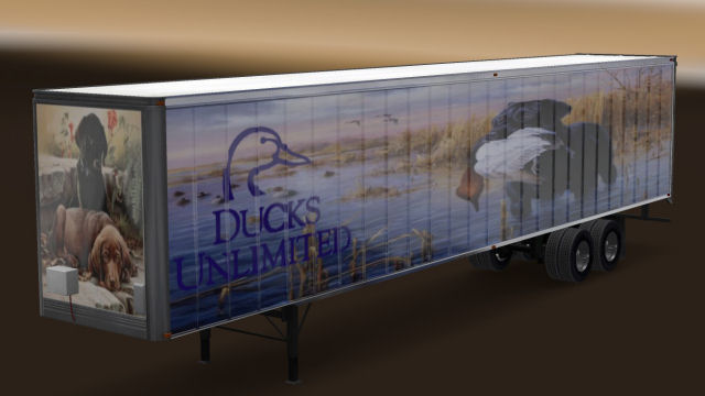 Ducks Unlimited #2 Standalone Long Box
