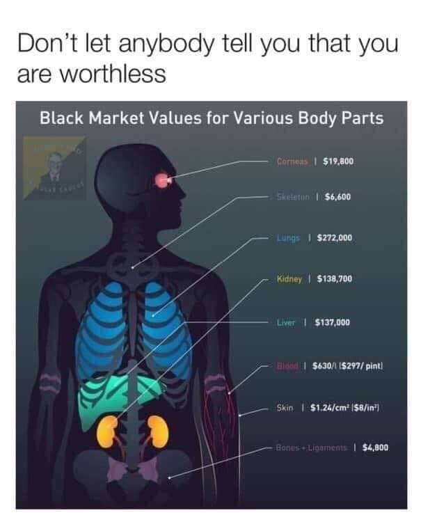 body parts value poster