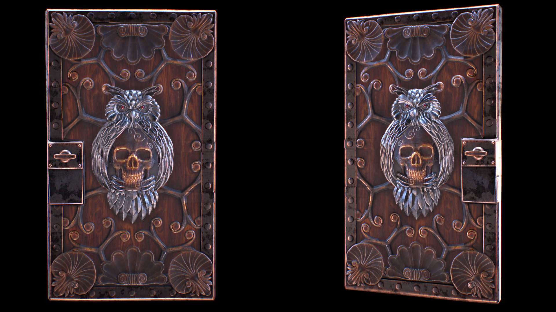 Wild Owl Door