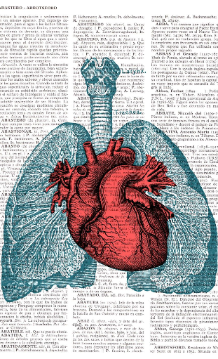 Heart and Lungs Art Print