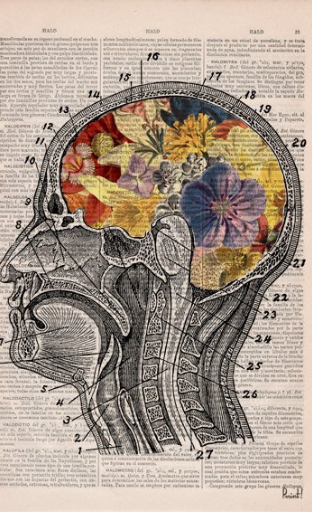 Head2 Art