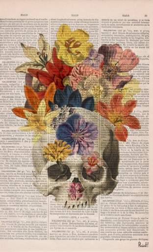 Partial Skull art