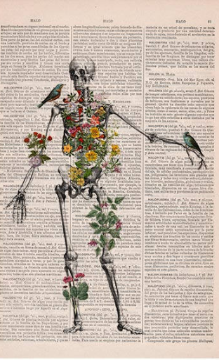 Skeleton art