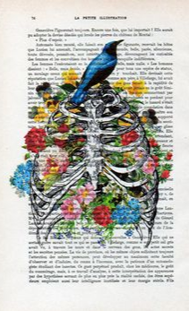 Rib Cage Art