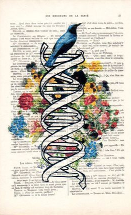 DNA Art