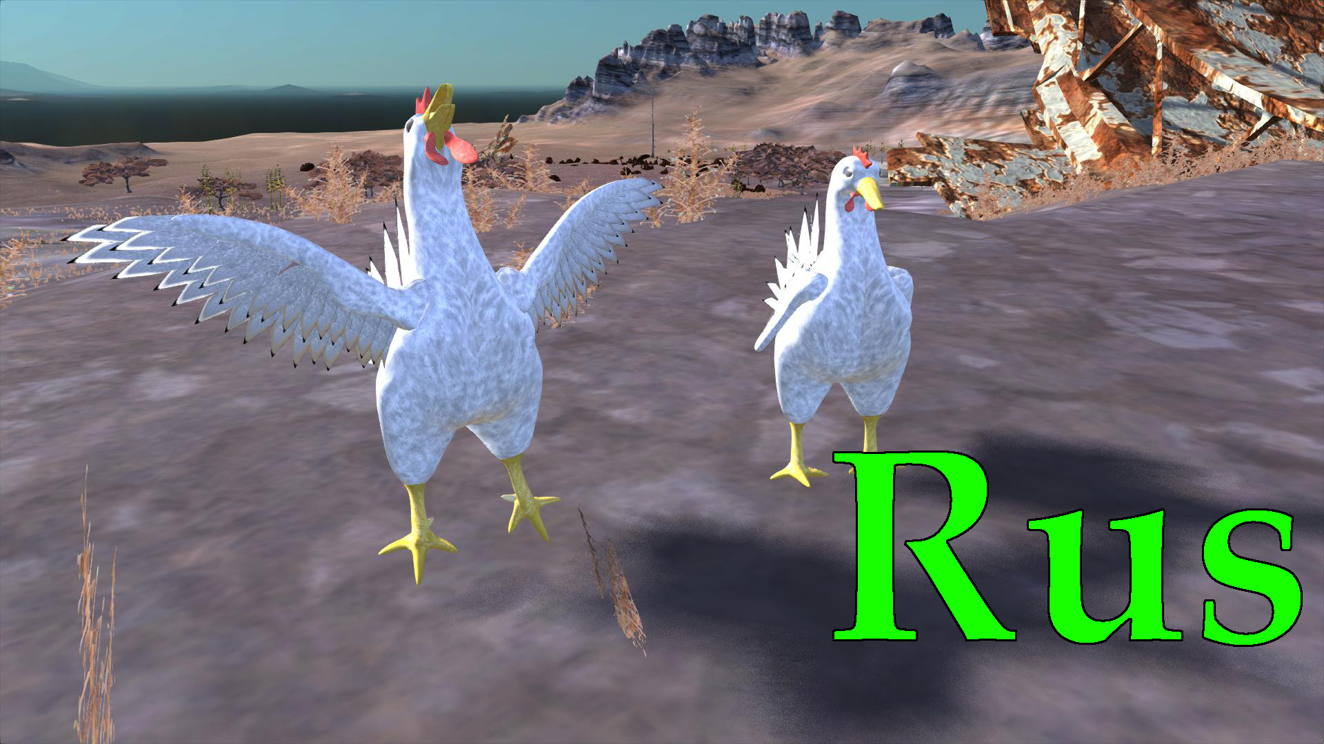 Chickens Rus