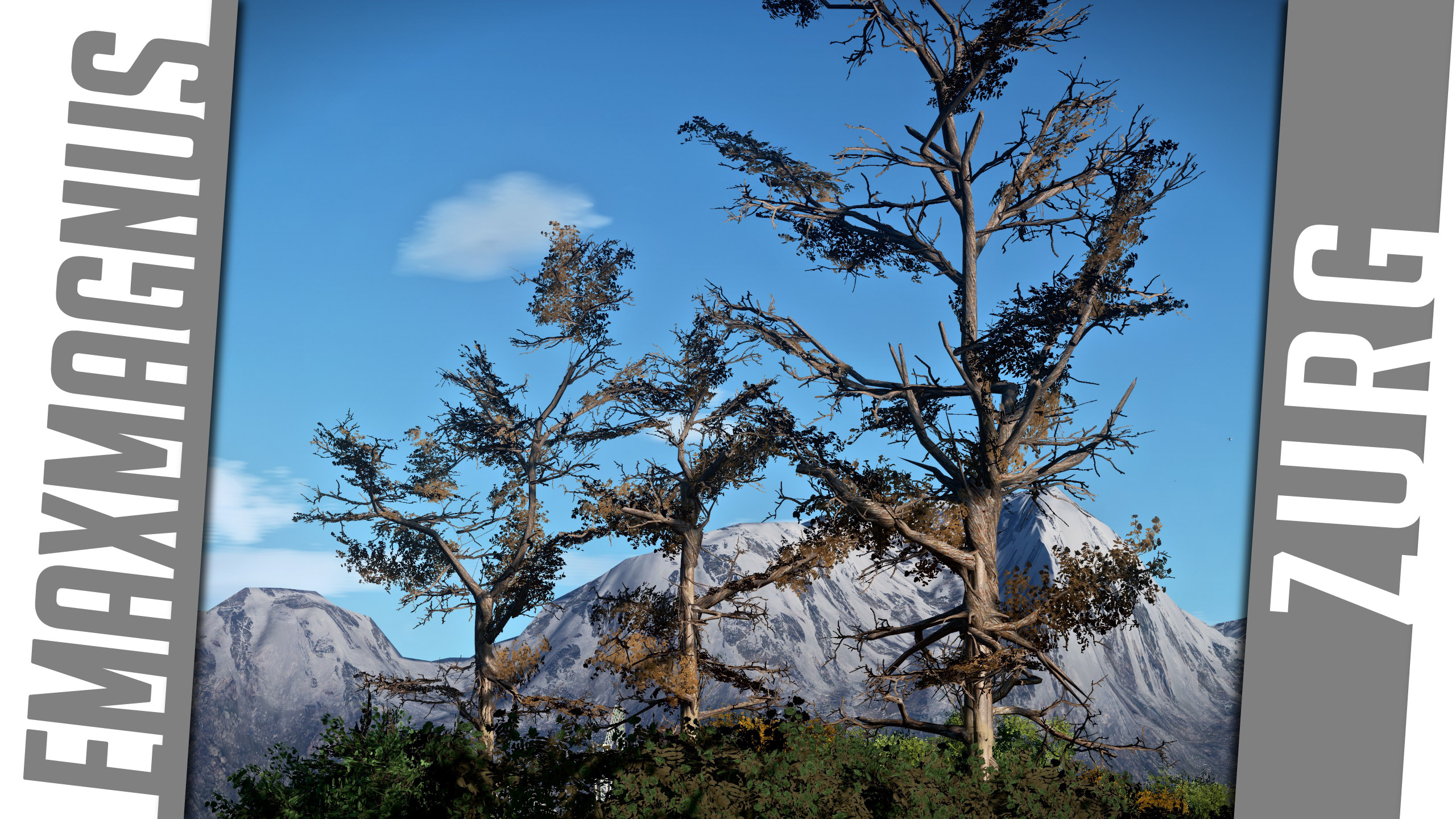 Custom recolourable winter Trees (Fraxinus excelsior - Ash tree)
