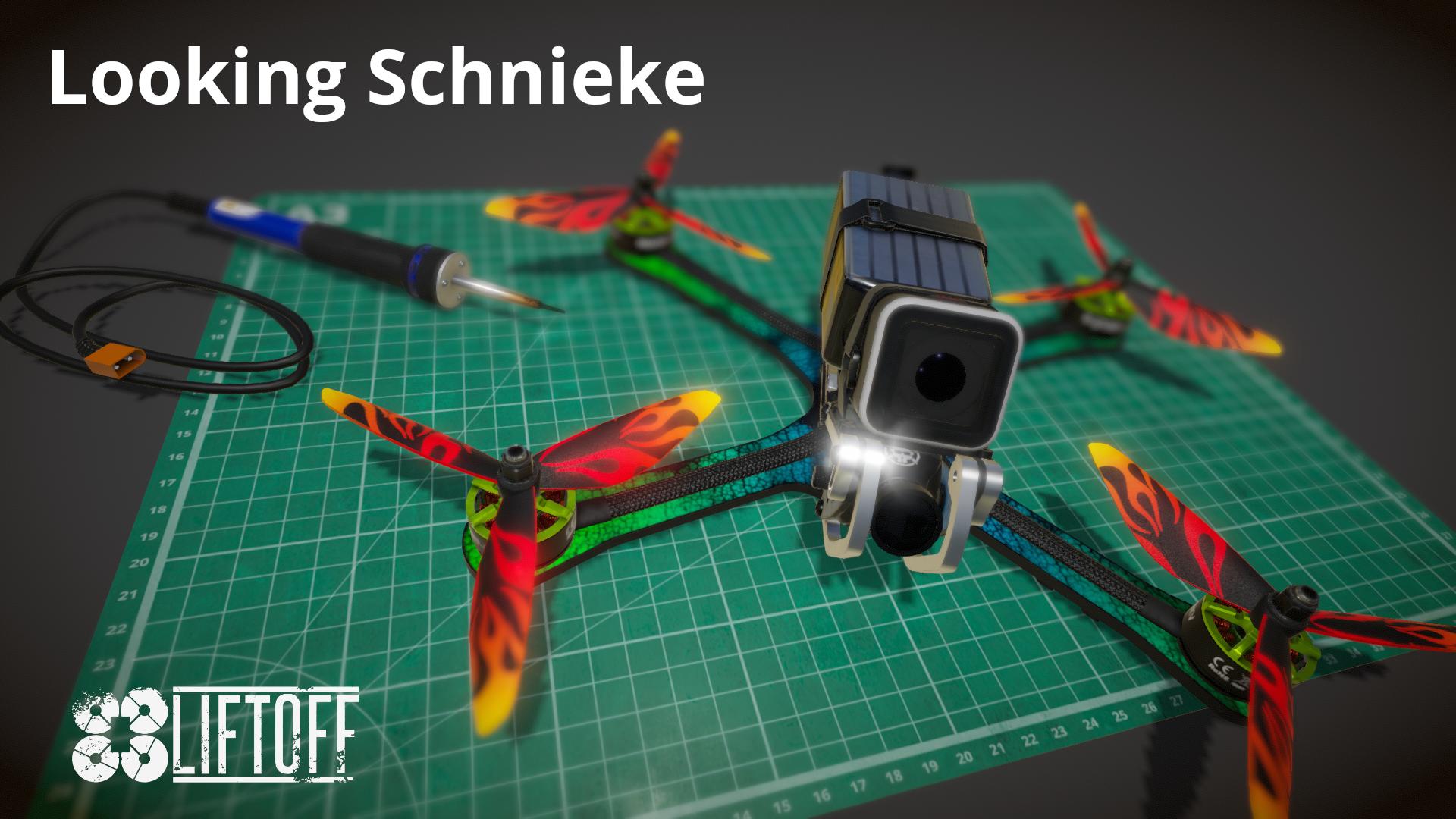 Looking Schnieke