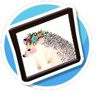 Watercolor hedgehog painting